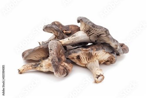 Cluster of dark brown mushrooms with textured caps. Detailed macro photography on a white background. Mushroom illustration for design and print. Generative AI © Екатерина Каболова