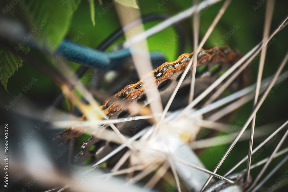 Obraz premium Altes Fahrrad im Detail