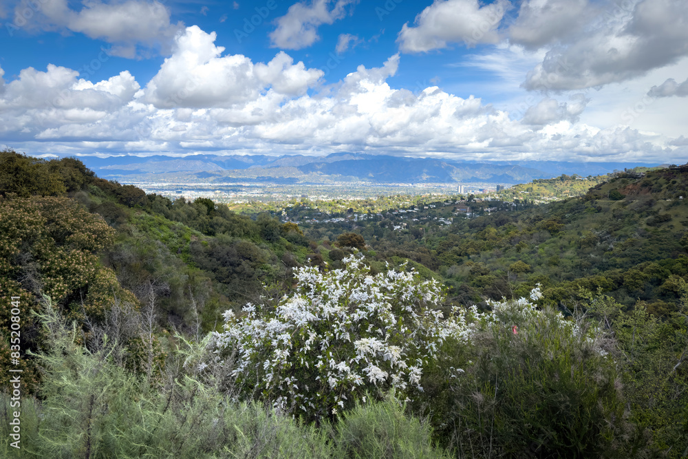 Scenic view to San Fernando Valley called