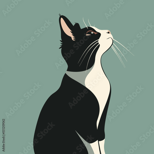 Cartoon black and white cat looking up against green background