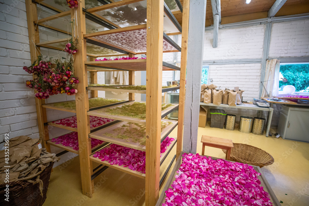 Drying herbs and flowers in a rustic farm shed Drying herbs and flowers in a rustic farm shed