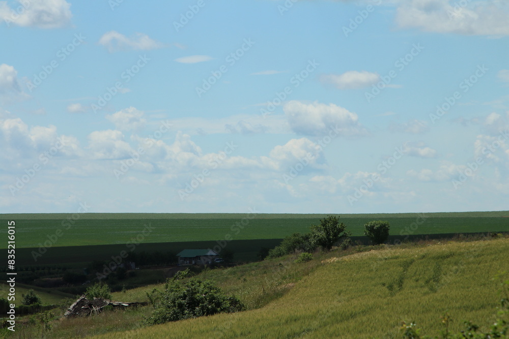 A landscape with a field and a blue sky A landscape with a field and a blue sky