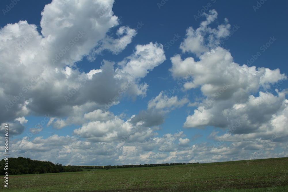 A large green field with clouds A large green field with clouds