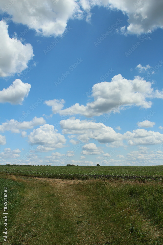 A grassy field with clouds in the sky A grassy field with clouds in the sky
