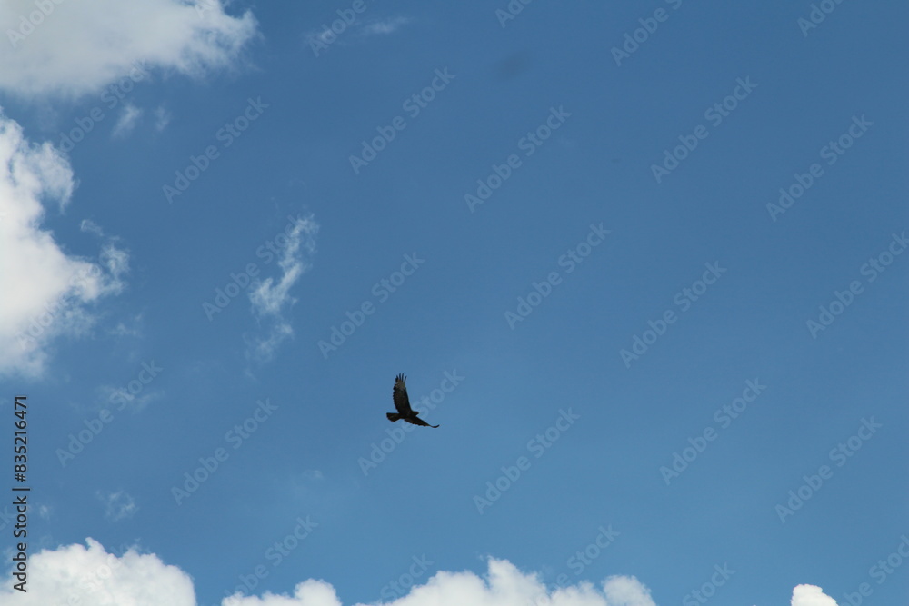 Fototapeta premium A person flying in the sky