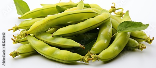 Petai or bitter bean or stink bean photo