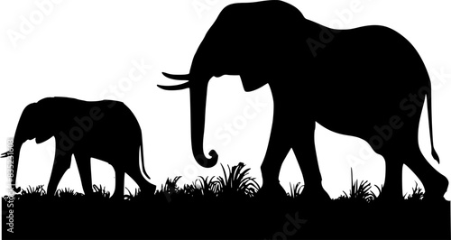 Silhouette elephant and calf in grass