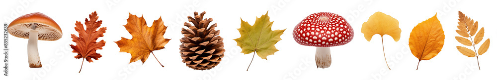 Autumn Collection png cut out element set Autumn Collection png cut out element set