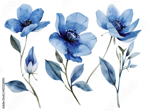 Beautiful watercolor illustration of blue flowers with green leaves, isolated on white background, perfect for spring and summer designs.