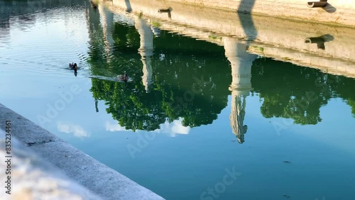 Anatre nuotano nella fontana pubblica del Prato della Valle, Padova photo