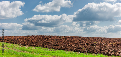 Ackerfläche bis zum Horizont mit blauem Himmel im sommer