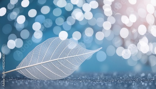 Beautiful white skeletonized leaf on light blue background with round bokeh. Expressive artistic image of beauty and purity of nature. photo