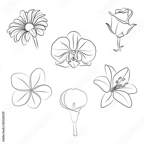 Pack de flores en arte lineal a mano alzada vectorizadas 