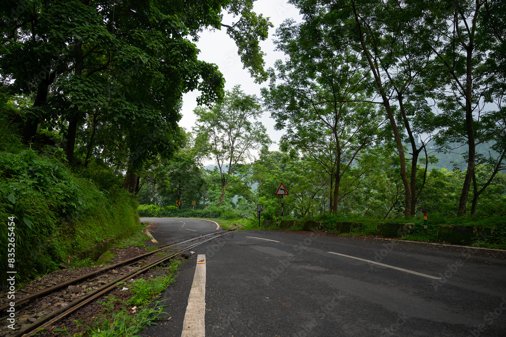 Obraz premium Toy train line, narrow gauge train line passing through Himalayan jungle. Darjeeling Himalayan Railway, narrow gauge railway between New Jalpaiguri and Darjeeling.