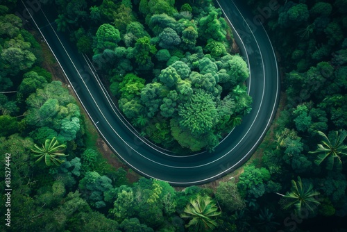 Aerial view of a winding road cutting through dense green forest, showcasing the contrast of nature and man-made structures © Odin AI