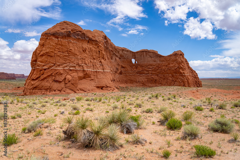 Desert landscapes in North Eastern Arizona, America, USA. Desert landscapes in North Eastern Arizona, America, USA.