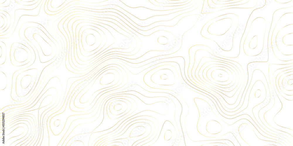 Abstract wavy topographic map. Abstract wavy and curved lines background. Abstract geometric topographic contour map background.