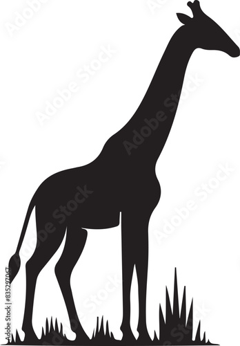 giraffe Vector