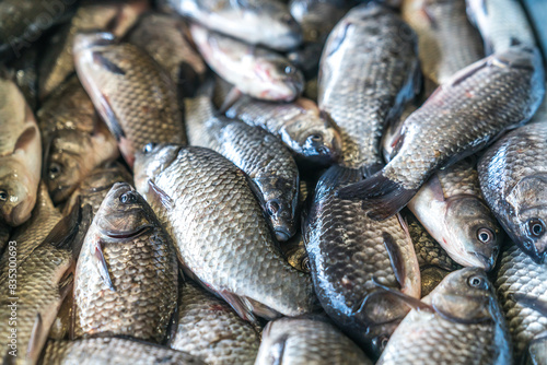 Small fresh fish on market, fish background photo