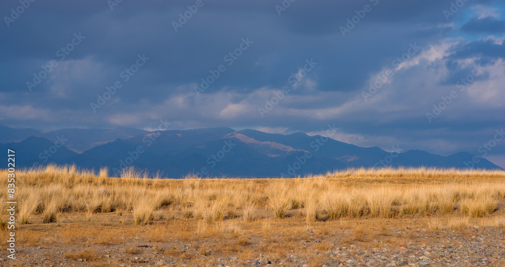 Landscape of the Tibetan Plateau. An amazing view of a desolate plain with dry grass in the foreground and mountains in the distance under storm sky. Landscape of the Tibetan Plateau. An amazing view of a desolate plain with dry grass in the foreground and mountains in the distance under storm sky.