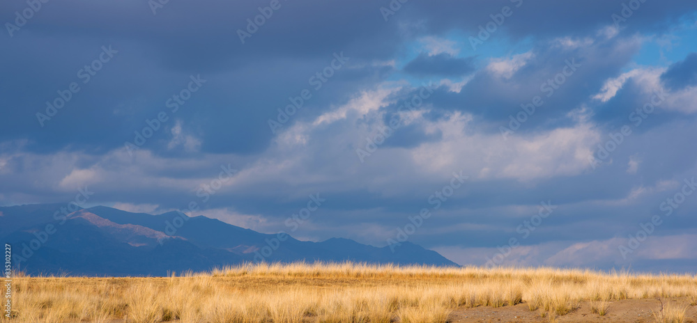Obraz premium Landscape of the Tibetan Plateau. An amazing view of a desolate plain with dry grass in the foreground and mountains in the distance under storm sky.