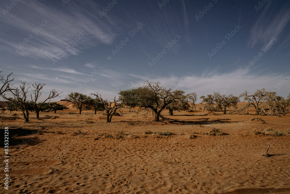Fototapeta premium Namibia Dunes Big Daddy Deadvlei