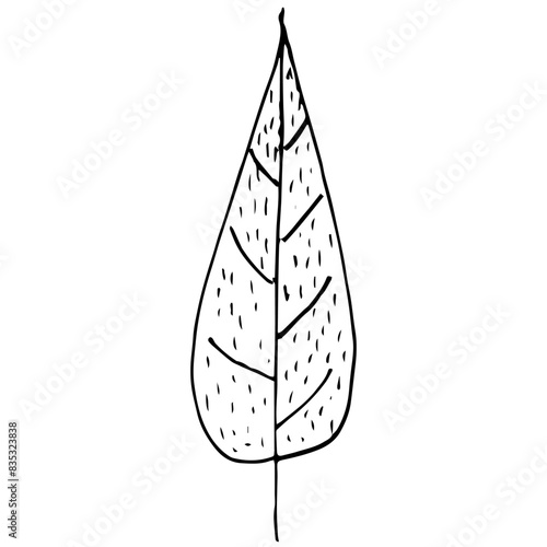 Vector black and white illustration of tree sketch isolated on white background.