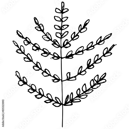 Vector black and white illustration of tree sketch isolated on white background.