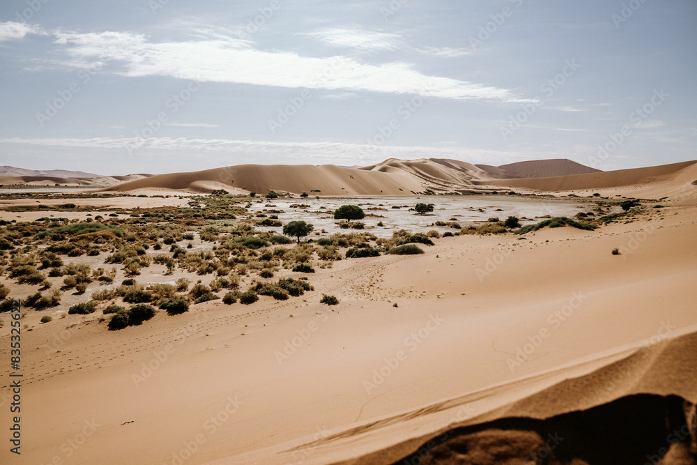 Namibia Namib Dessert Deadvlei Namibia Namib Dessert Deadvlei
