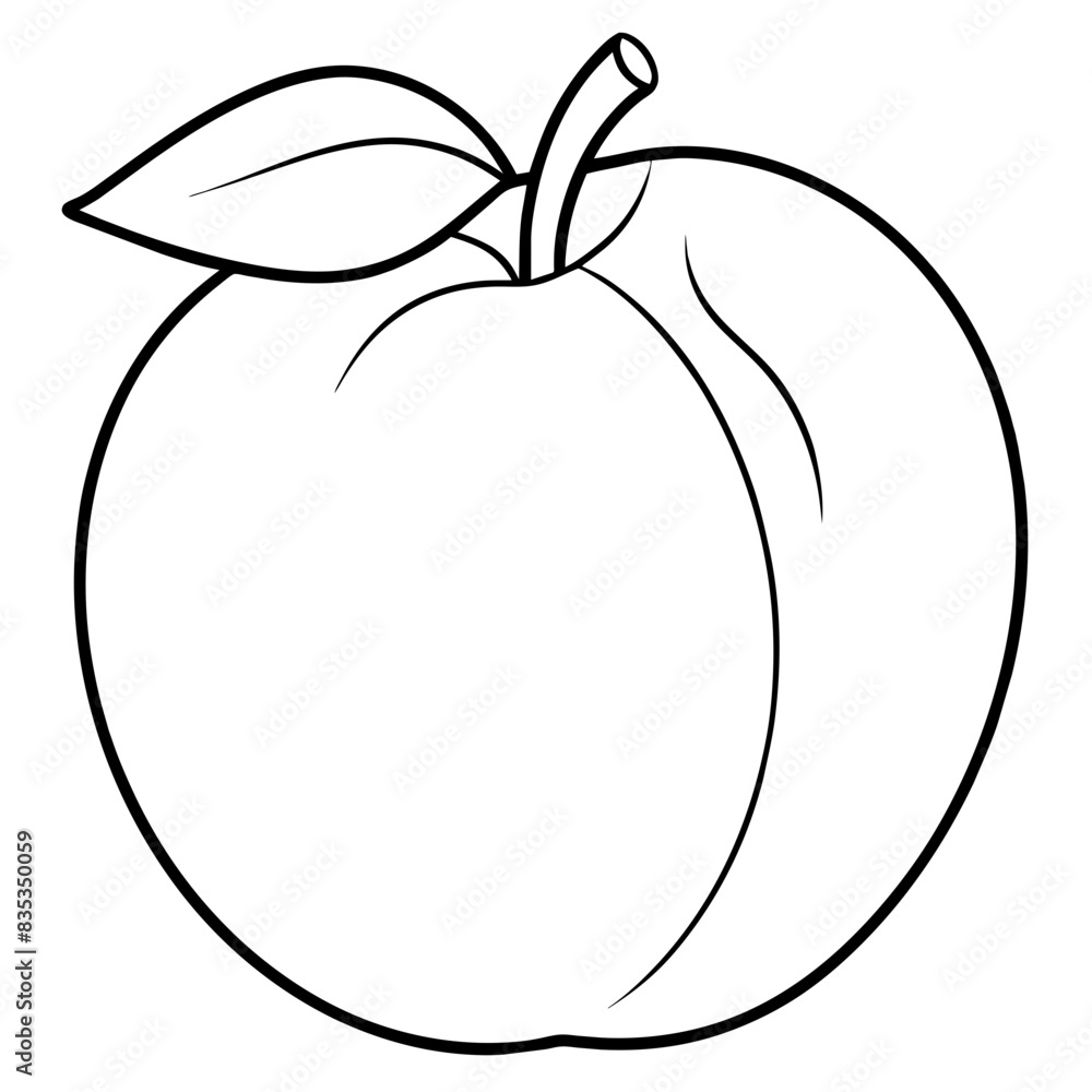 Detailed Vector Outline of Apricot with Leaf for Coloring Detailed Vector Outline of Apricot with Leaf for Coloring