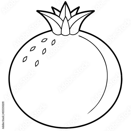 Detailed vector illustration of a pomegranate fruit with seeds, black outline