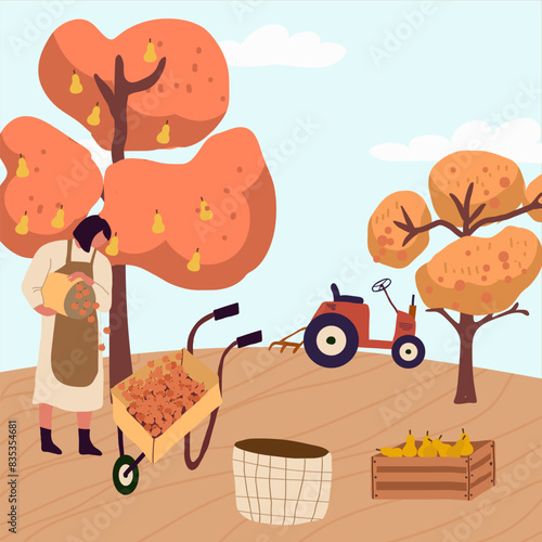 Vector flat illustration of fall harvest, characters of people picking organic fruits and vegetables in an orchard.