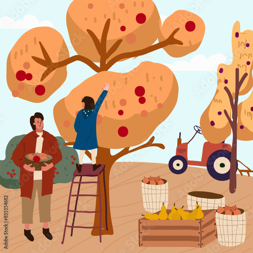 Vector flat illustration of fall harvest, characters of people picking organic fruits and vegetables in an orchard.