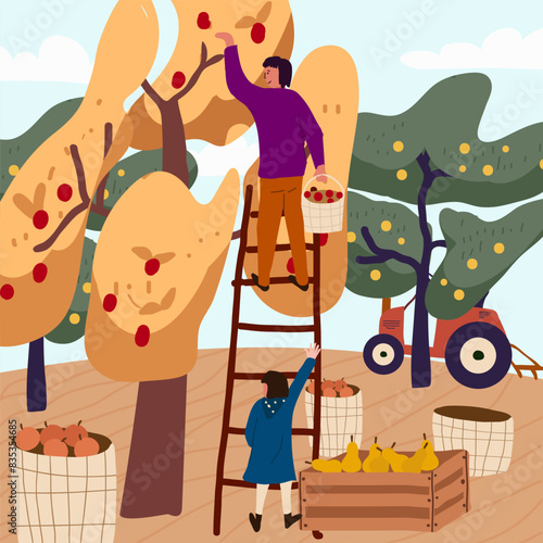 Vector flat illustration of fall harvest, characters of people picking organic fruits and vegetables in an orchard.