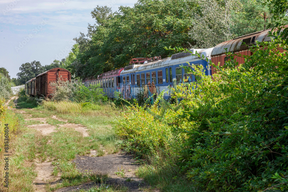 old abandoned trains rusting away in a forest in the countryside old abandoned trains rusting away in a forest in the countryside