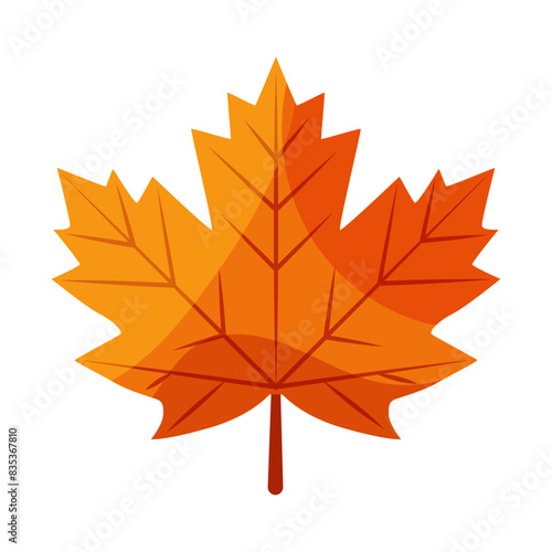 Vector illustration with maple leaf. Symbol of Canada. Canada Day.