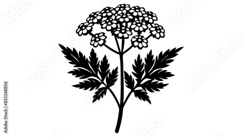 waxflower silhouette vector illustration