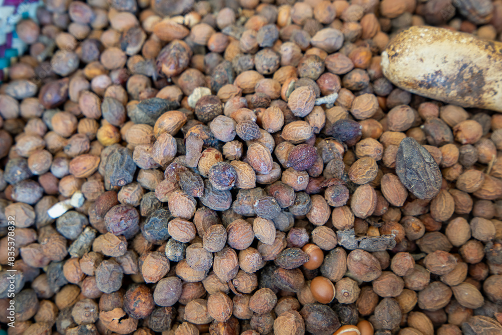 A pile of ripe argan nuts, a valuable agricultural product known for its oil, is harvested in Essaouira, Morocco. A pile of ripe argan nuts, a valuable agricultural product known for its oil, is harvested in Essaouira, Morocco.