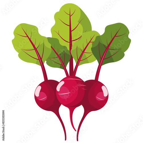 Fresh Beetroots with Green Leaves on White Background