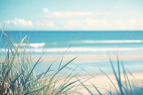 Beach grass in the foreground with a clear view of the ocean and waves in the background creating a serene and tranquil beach scene on a sunny day