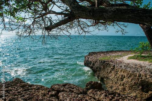 coast of the sea