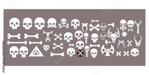 set of bones, bone vectors, bone style shapes, bones association vector illustrations/shapes