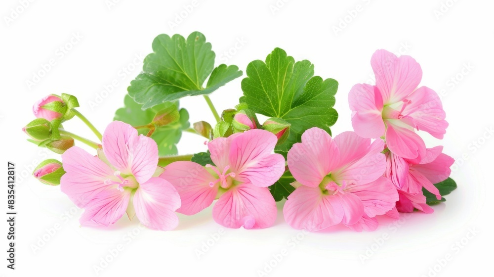 Beautiful Pink Flowers with Green Leaves, Generative AI Beautiful Pink Flowers with Green Leaves, Generative AI
