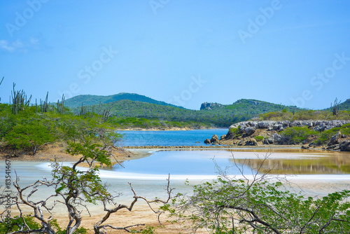 Landscape of Washington-Slagbaai National Park in Bonaire, Caribbean island.  photo