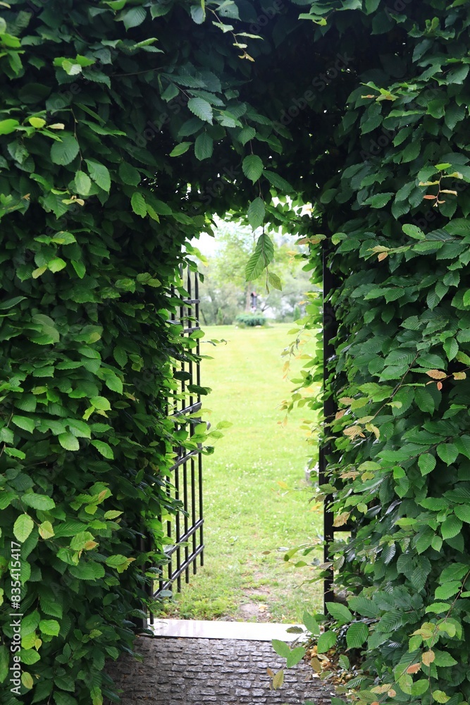 Obraz premium Passage way in an ornate garden landscape 