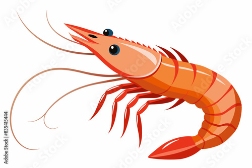 shrimp vector illustration