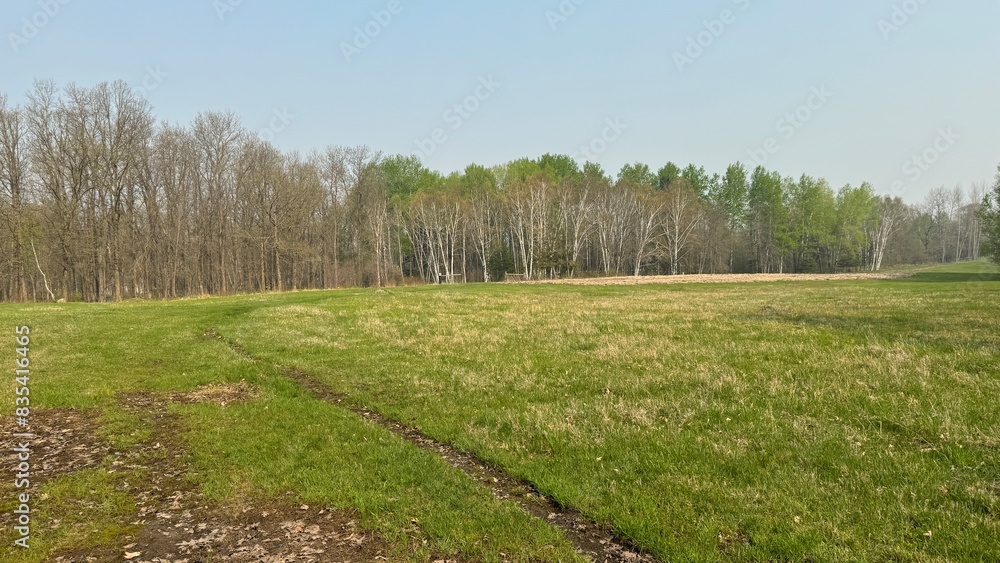 Obraz premium Spring field and tree line woods during early May in Northern Minnesota with a cow path