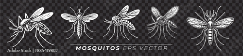 Ilustrações de Mosquito, vetor EPS, mosquito da dengue em diferentes estilos