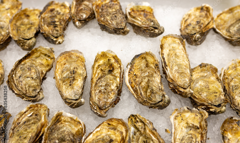 Fresh Oysters on the counter on ice in store. Oysters for sale at the seafood market. Aphrodisiac sea restaurant, expensive fresh food, dish menu Fresh Oysters on the counter on ice in store. Oysters for sale at the seafood market. Aphrodisiac sea restaurant, expensive fresh food, dish menu