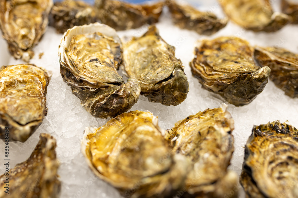 Fresh Oysters on the counter on ice in store. Oysters for sale at the seafood market. Aphrodisiac sea restaurant, expensive fresh food, dish menu Fresh Oysters on the counter on ice in store. Oysters for sale at the seafood market. Aphrodisiac sea restaurant, expensive fresh food, dish menu